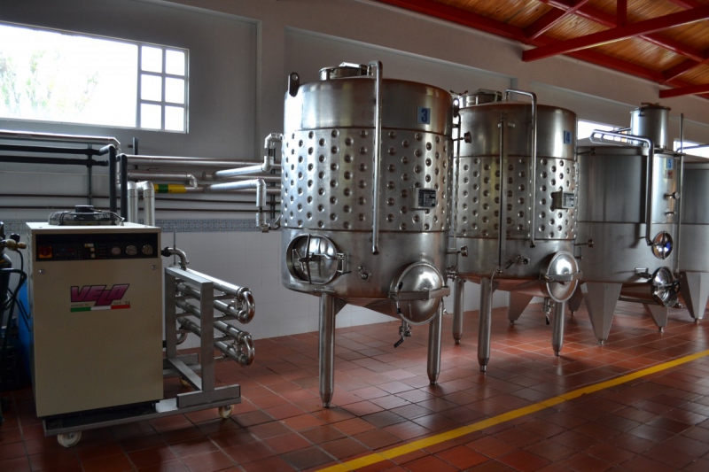 cave-LANTOSQUE-min_wine_production_cantine_winery_drink_alcohol_vine_beverage-902036